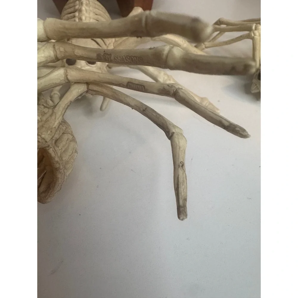 Halloween Skeleton‎ Spider Lot of 4 Creepy Skeleton Spiders Spooky Decor